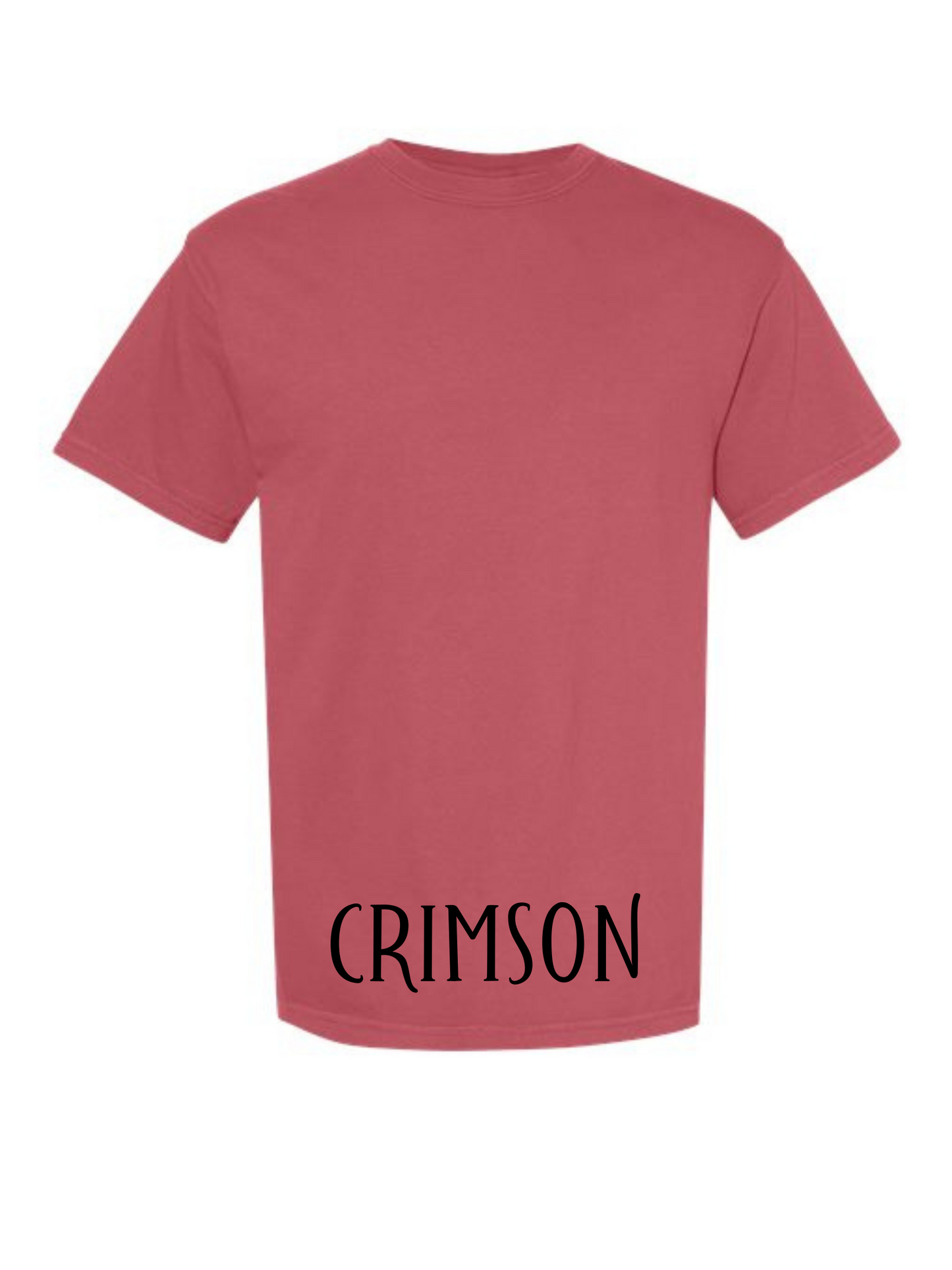 Groovy Hawks Short Sleeve/Comfort Color/1717