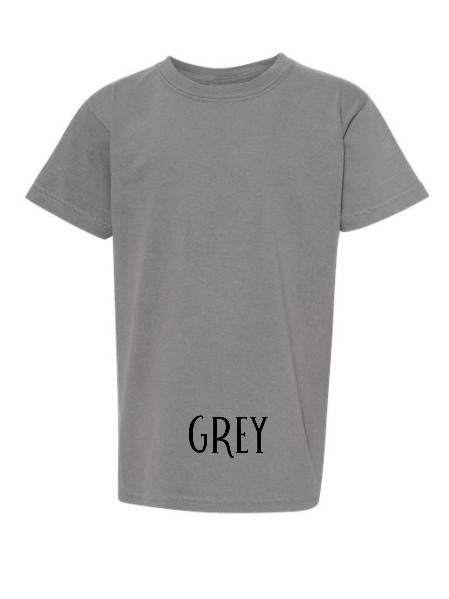 Groovy Hawks Short Sleeve/Comfort Color/1717