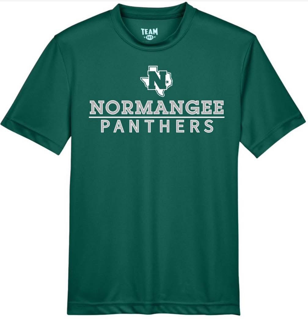 YOUTH Stacked Normangee Panthers Short Sleeve/Team 365/TT11Y