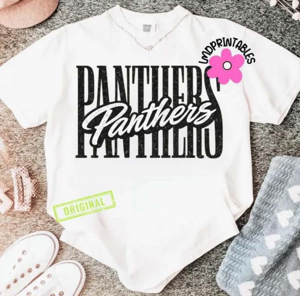Panthers Block Font Short Sleeve/Comfort Color 1717