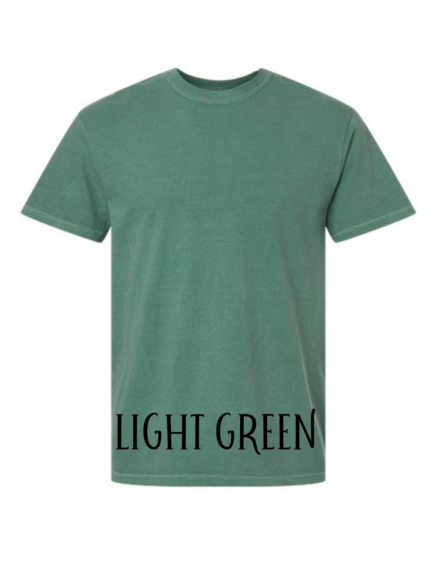 Groovy Hawks Short Sleeve/Comfort Color/1717