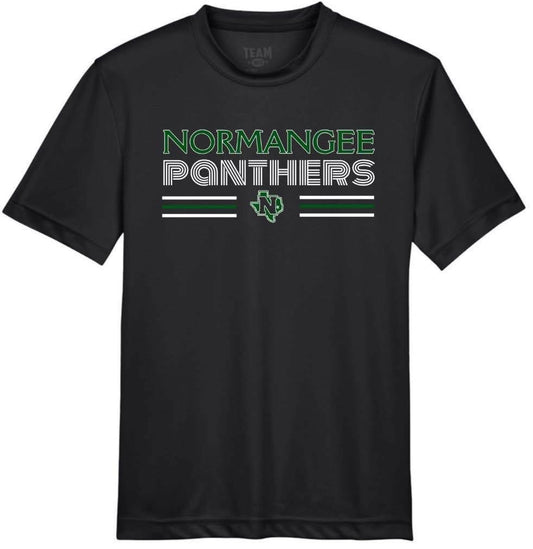 Vintage Normangee Panthers Short Sleeve/Team 365/TT11 (Copy)