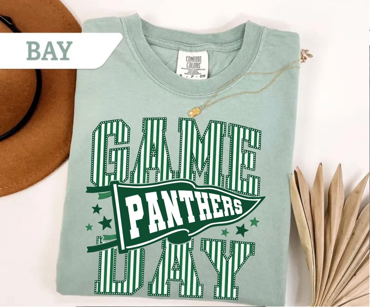 Panthers Green Stripes Game Day Pennant Comfort Color Short Sleeve 1717 Shirt
