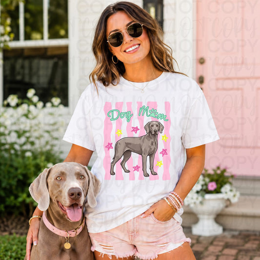Silver Lab/Weimaraner Short Sleeve/Comfort Color 3023CL CROP