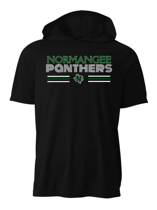 YOUTH Retro Normangee Panthers Short Sleeve/A4/NB3408